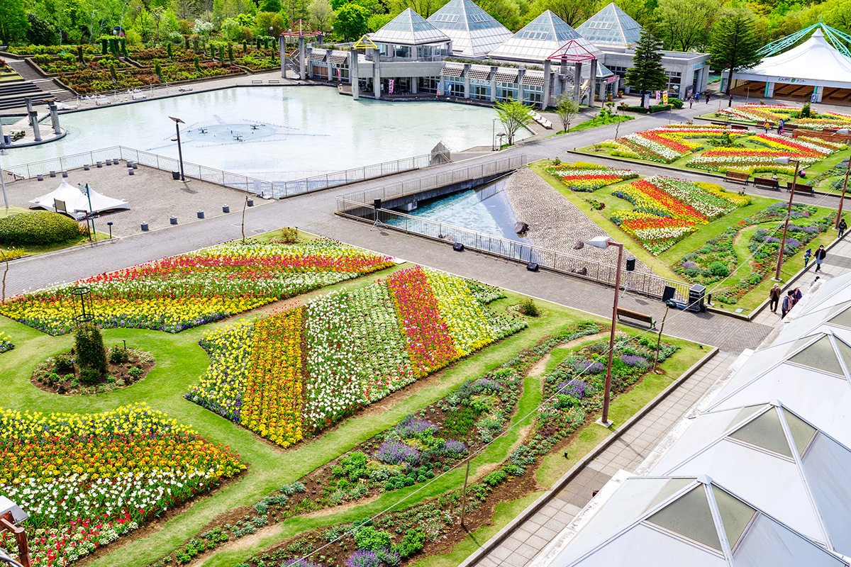 🌸 군마 플라워 파크 플러스 (군마 후라와파쿠 푸라스) 이미지 5